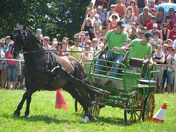 110709_dolni_lomna_vozatajske_zavody_4_denik_clanek_solo