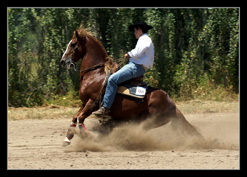 reining (1)