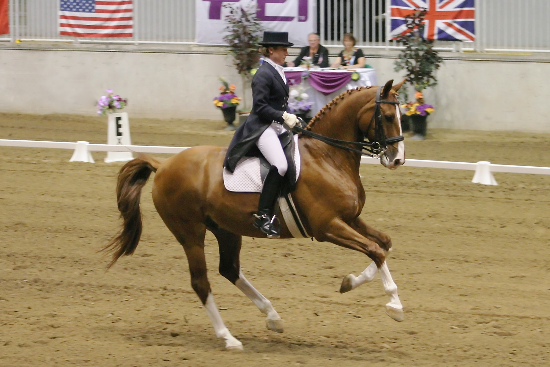 IMG_4430_RGB_CNE_Dressage