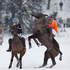 polo20