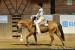 27--western-horsemanship---iveta-vokacova-a-jac-stripes-watani
