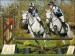 equestrian_cross_country_01_470x352